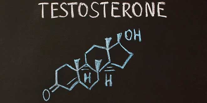 Testosterona: Características de testosterona alta
